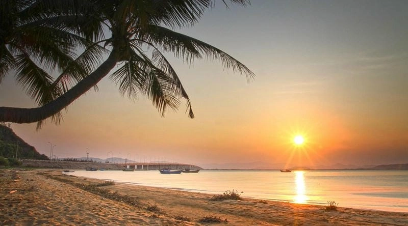 Bãi biển Quy Nhơn ở đường nào