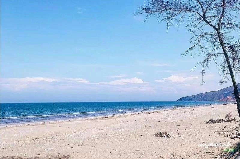 Vui chơi trên Quỳnh Phương bãi cát dài bất tận