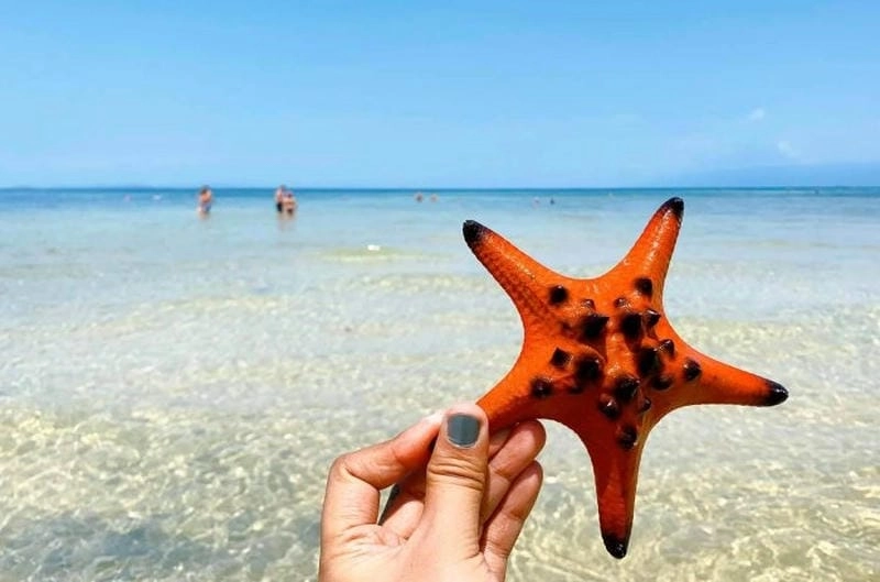 Rạch Tràm nước trong veo thu hút ánh nhìn