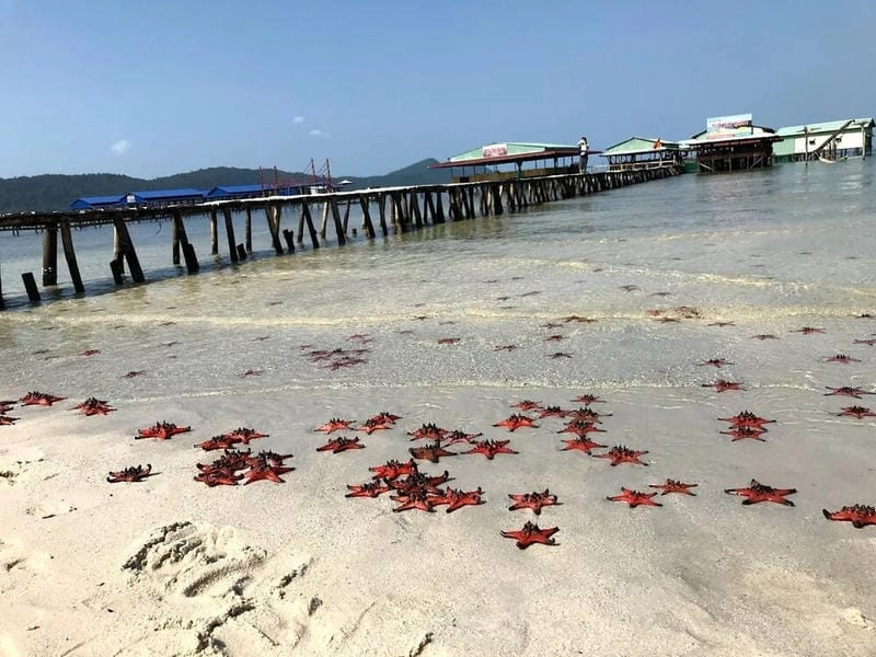 Lắng nghe Rạch Tràm sóng biển rì rào êm tai