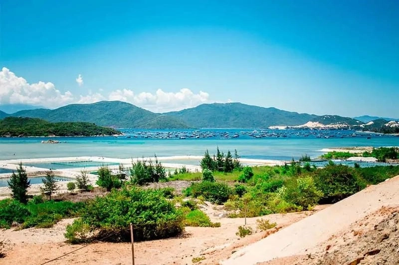 Đón Sơn Đừng bình minh lãng mạn trên biển