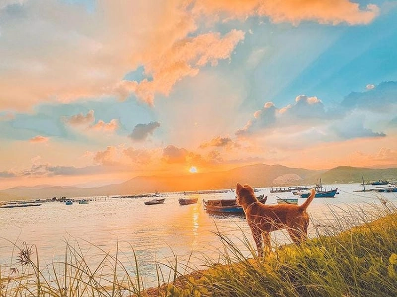 Thời điểm lý tưởng để khám phá bãi biển Sông Cầu là mùa hè