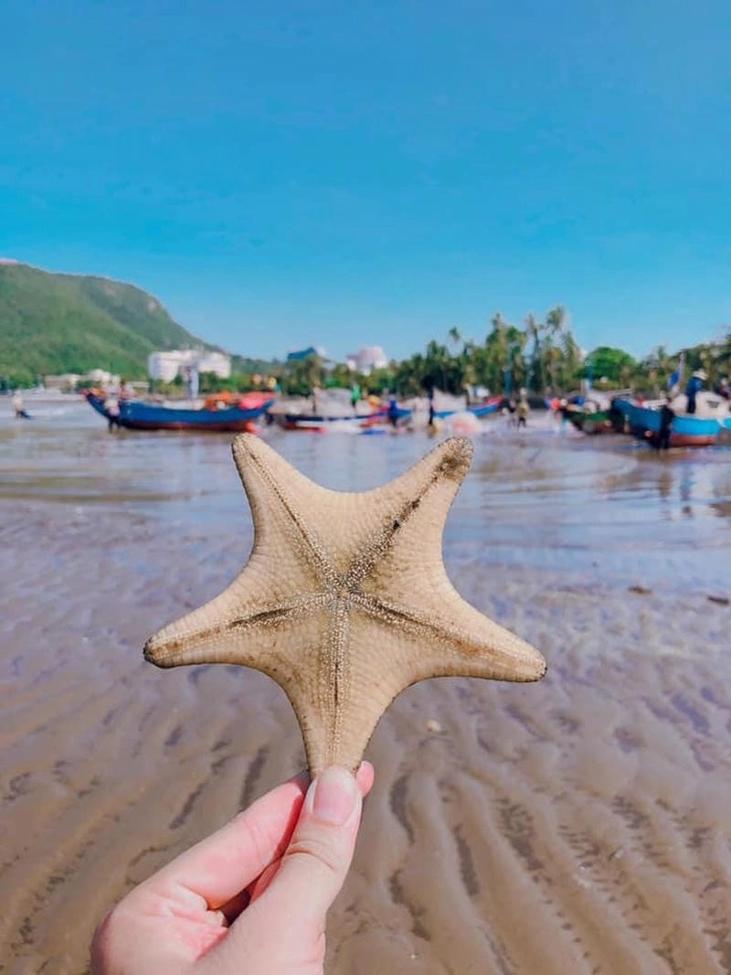 Dạo bước trên Thủy Tiên cát vàng óng ánh