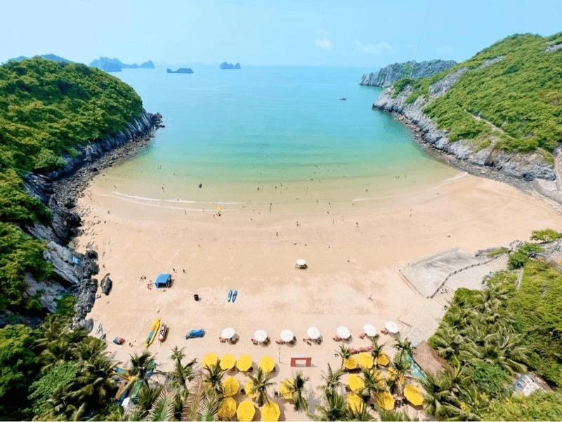 Cùng nhau khám phá những hoạt động hấp dẫn tại bãi biển Tùng Thu