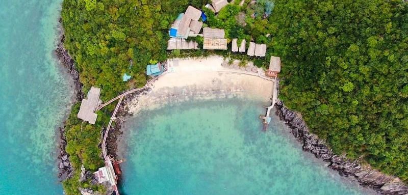 Đắm mình trong làn Tùng Thu biển xanh mát lạnh