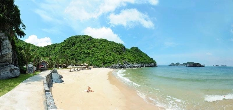 Tùng Thu nước trong veo thu hút ánh nhìn