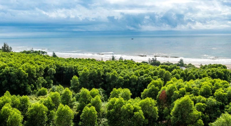 Đắm mình trong làn Vĩnh Thái biển xanh mát lạnh