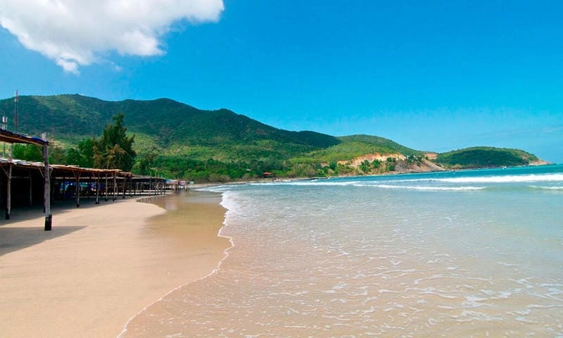 Thưởng thức hải sản Bãi Dài