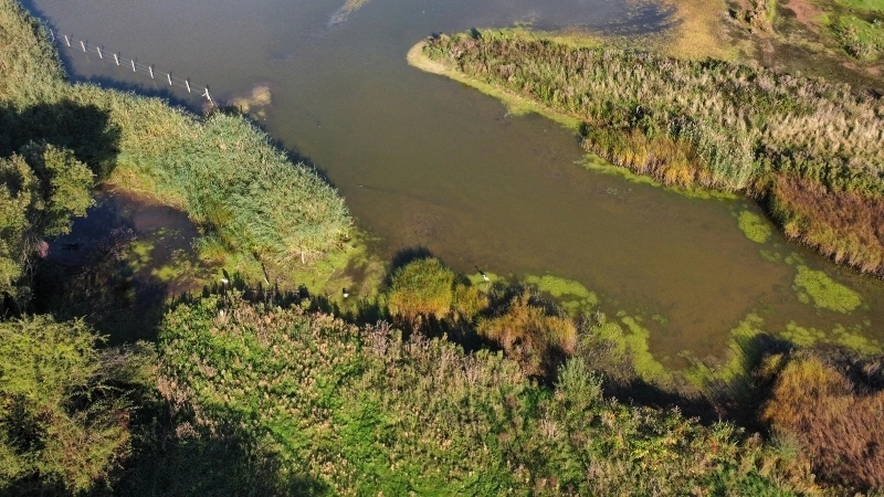 Bảo vệ hệ sinh thái sông ngòi cho một tương lai bền vững
