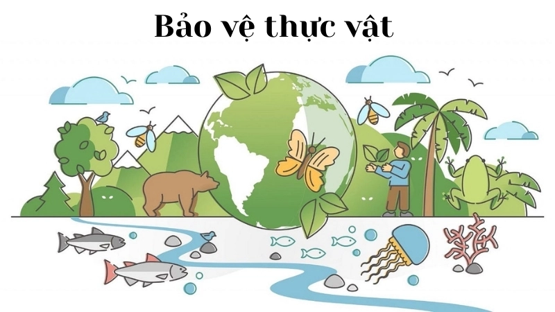 Bảo vệ thực vật là bảo vệ nền tảng của đa dạng sinh học toàn cầu