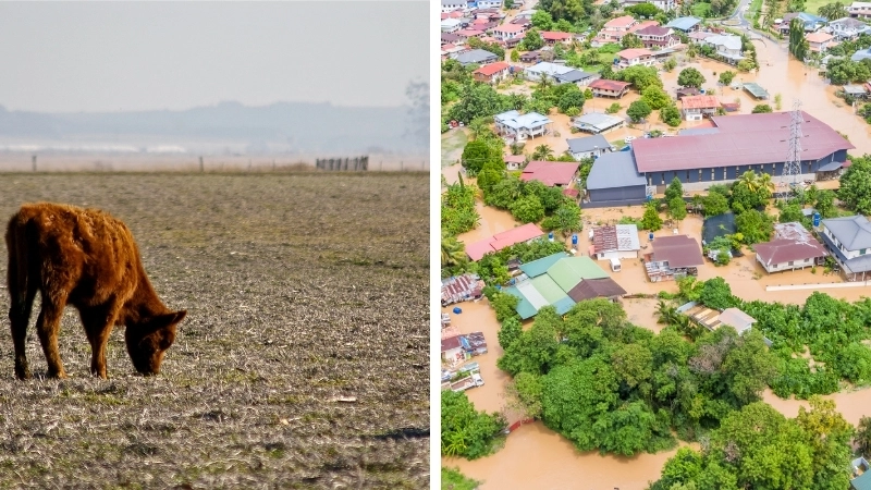 Biến đổi khí hậu gây ra các tác động môi trường như hạn hán và lũ lụt