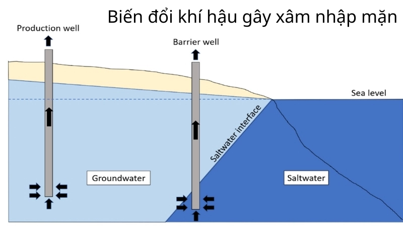 Biến đổi khí hậu gây xâm nhập mặn, đe dọa nguồn nước sạch
