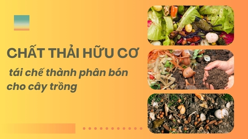 Biến rác hữu cơ thành compost, một phần của kinh tế tuần hoàn