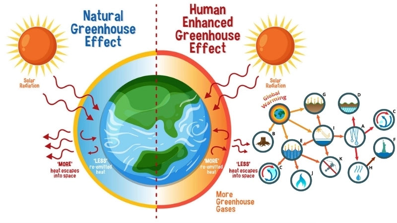 Biểu đồ minh họa sự nóng lên toàn cầu, một chủ đề của khí hậu học