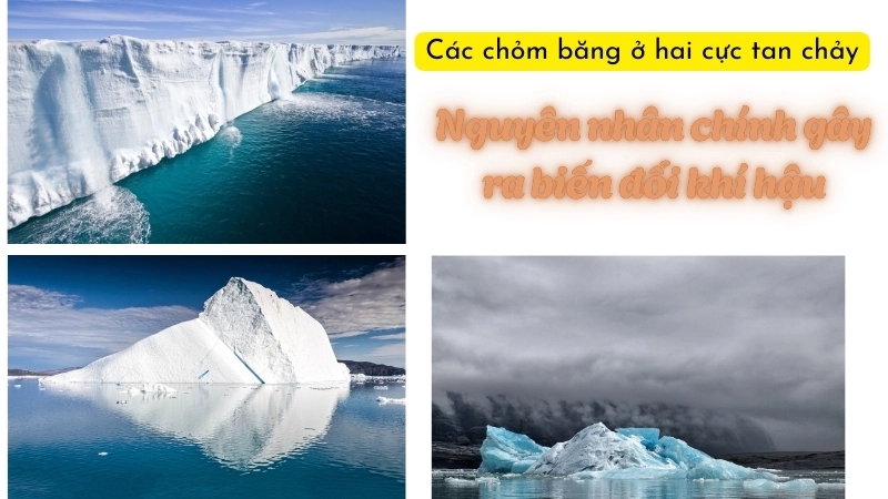 Các chỏm băng ở hai cực tan chảy là nguyên nhân chính gây ra biến đổi khí hậu
