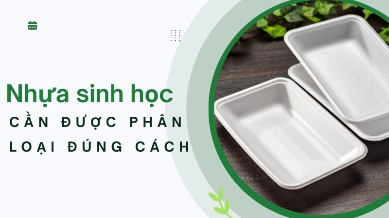 Các loại nhựa sinh học cần được phân loại đúng cách