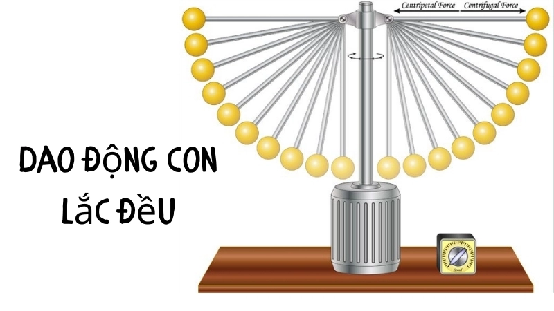 Các nguyên tắc lực học cho thấy chiều dài dây quyết định chu kỳ dao động