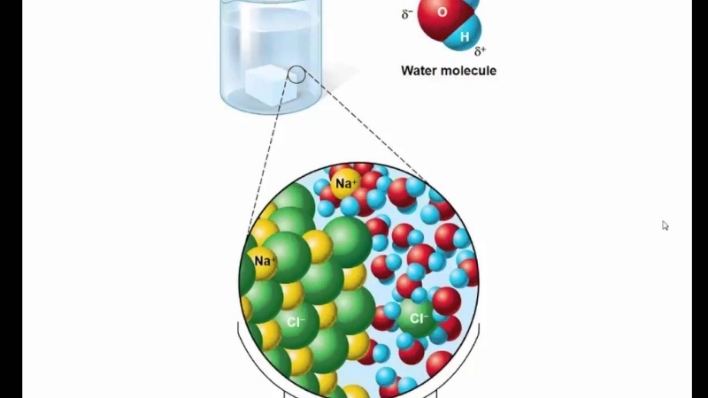 Các phân tử nước dễ dàng bao vây và tách các ion muối ra khỏi tinh thể