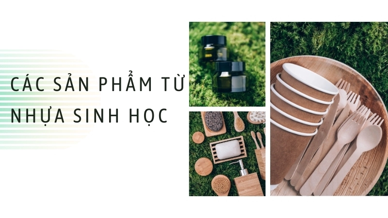 Các sản phẩm từ nhựa sinh học cần được xử lý đúng cách sau khi sử dụng