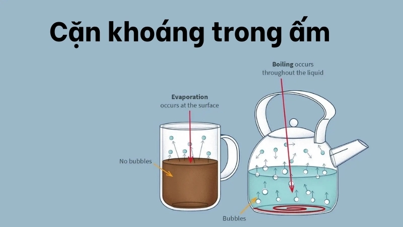 Cặn khoáng trong ấm ảnh hưởng đến quá trình sôi và nhiệt động lực học