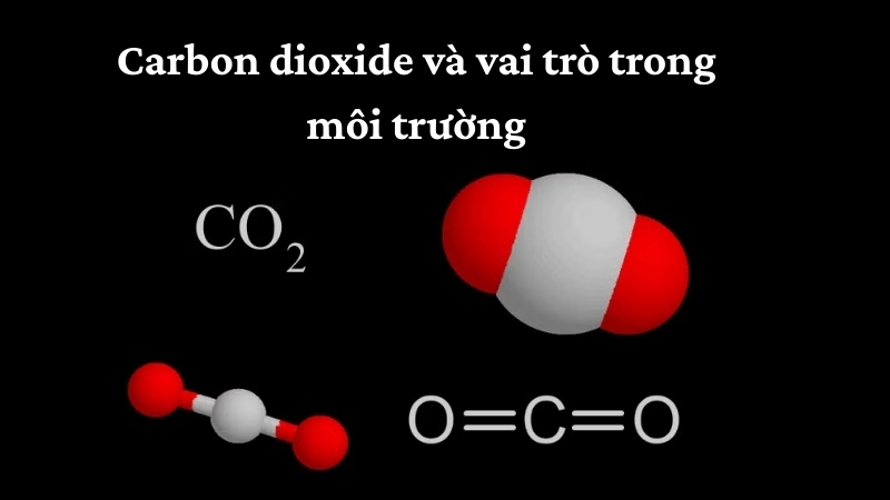 Carbon dioxide và vai trò trong môi trường