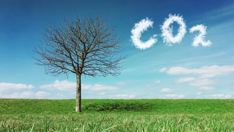 Tác động của carbon dioxide đến con người và môi trường