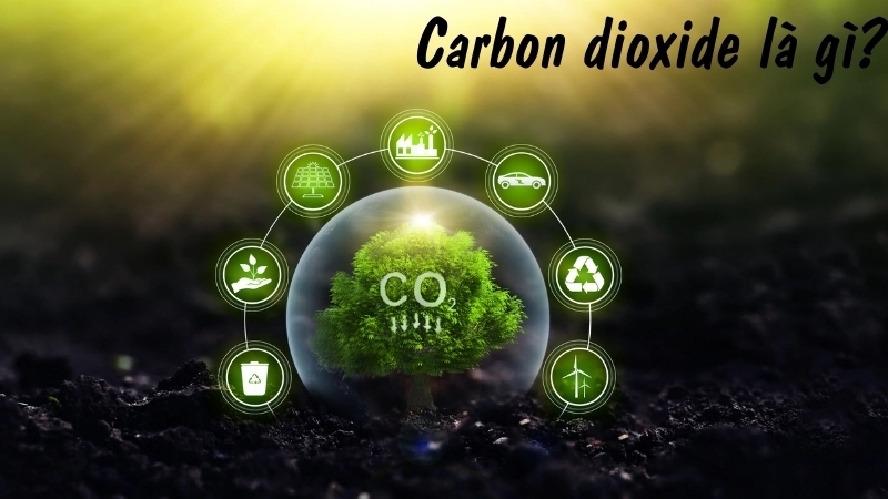 Carbon dioxide là gì?