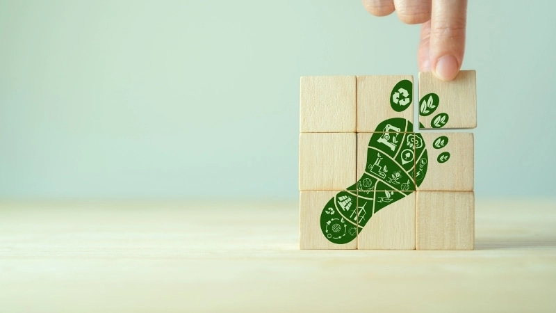 Tầm quan trọng của việc giảm carbon footprint
