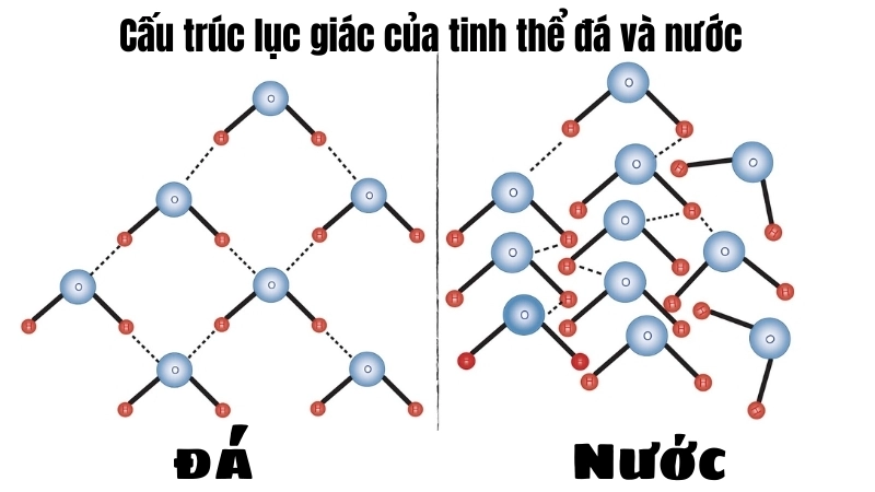  Cấu trúc lục giác của tinh thể băng giúp nước đá nổi trên nước