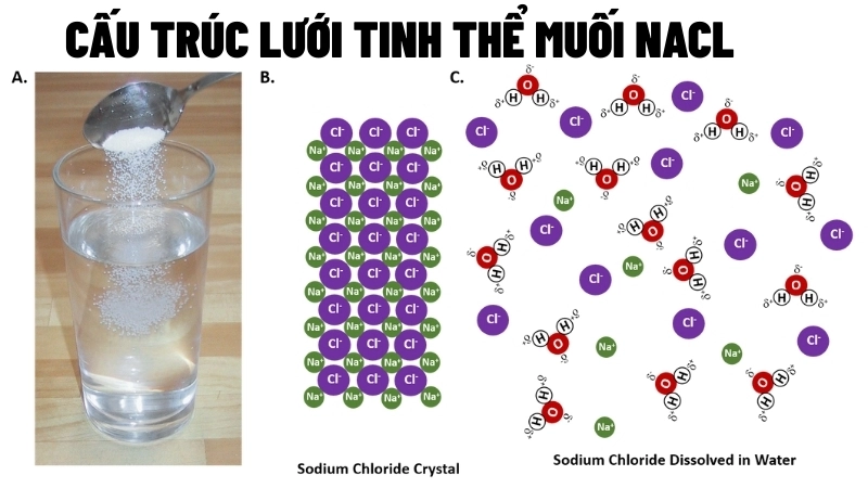  Cấu trúc lưới tinh thể muối NaCl trong thí nghiệm muối