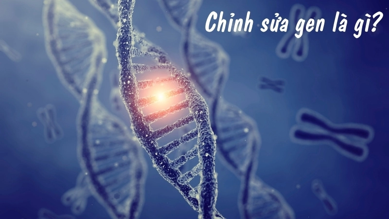 Chỉnh sửa gen là gì?
