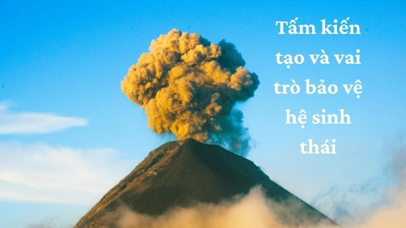 Tấm kiến tạo và vai trò bảo vệ hệ sinh thái