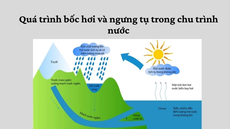 Quá trình bốc hơi và ngưng tụ trong chu trình nước