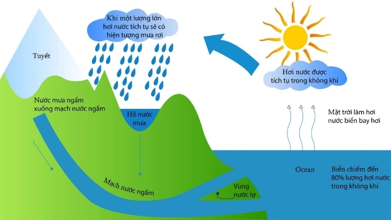 Chu trình nước là gì? 