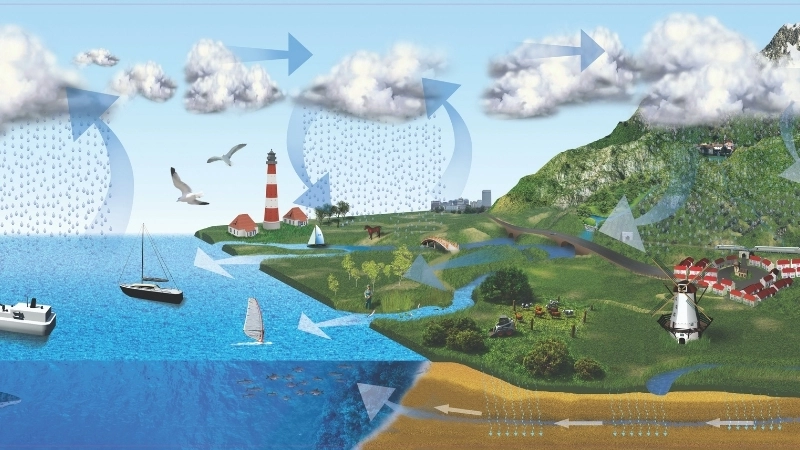 Các giai đoạn chính của chu trình nước