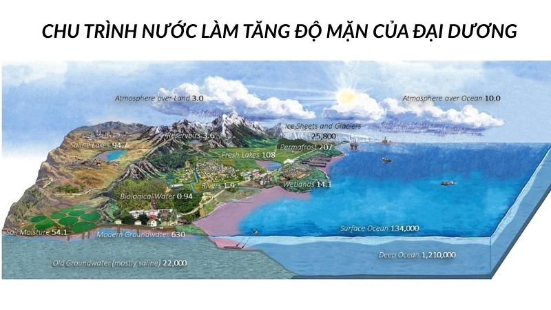  Chu trình nước làm tăng độ mặn của đại dương