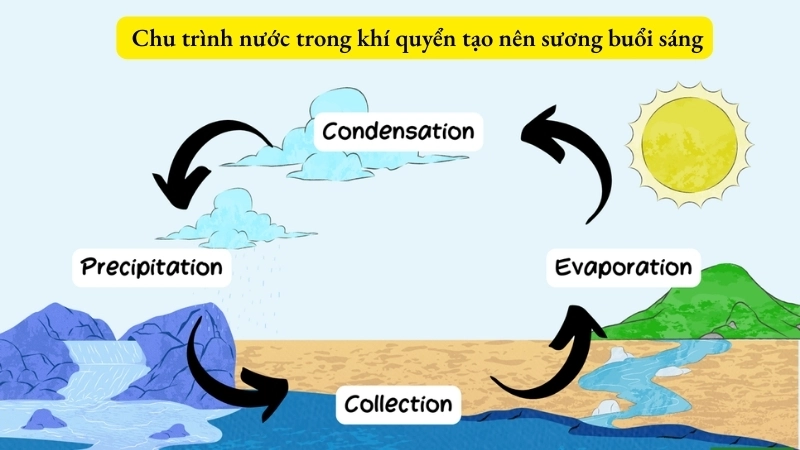  Chu trình nước trong khí quyển tạo nên sương buổi sáng