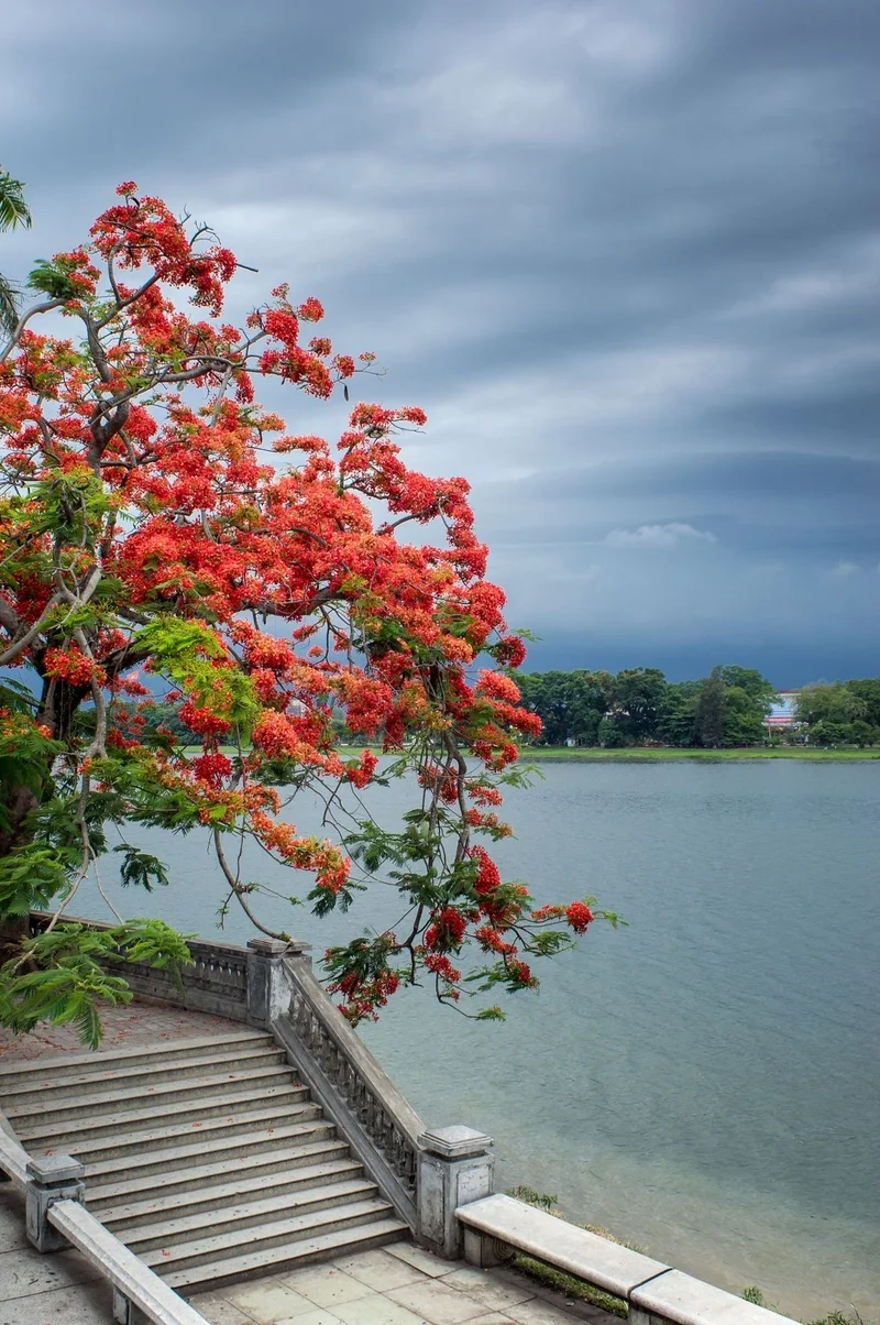 Chụp cảnh thiên nhiên sống động bằng cách chụp ảnh phong cảnh đẹp bằng điện thoại