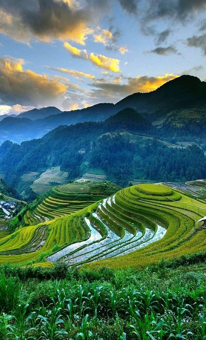 Thỏa sức sáng tạo khi chụp ảnh phong cảnh bằng điện thoại