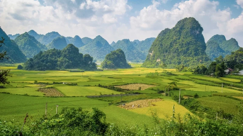 Ghi lại khoảnh khắc yên bình bằng chụp ảnh với phong cảnh