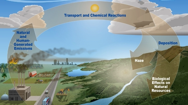 Chuyên gia sinh thái học đánh giá tác động của hóa chất đến môi trường