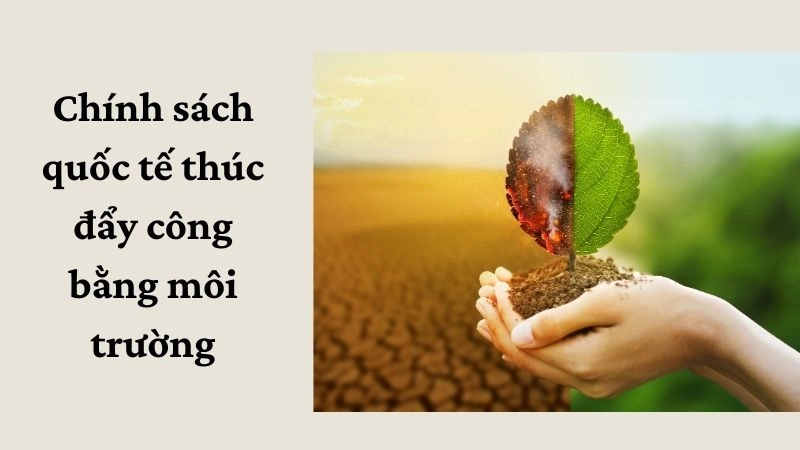 Chính sách quốc tế thúc đẩy công bằng môi trường