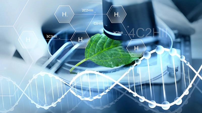 Công nghệ AI sinh học là gì?