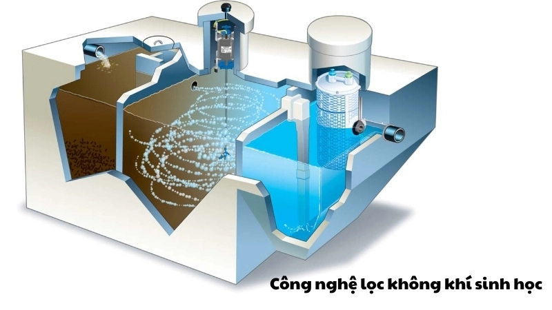 Công nghệ lọc không khí sinh học cho một tương lai bền vững