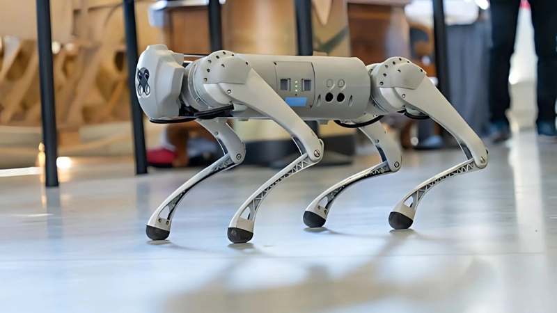 Tiềm năng phát triển của công nghệ robot đồng hành