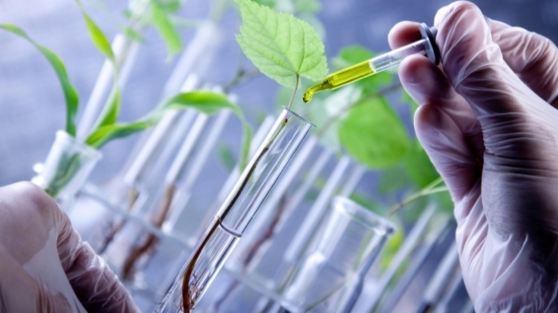 Công nghệ sinh học tương lai là gì?