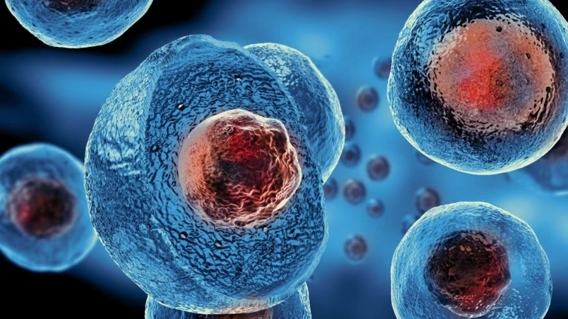 Công nghệ tế bào gốc là gì?