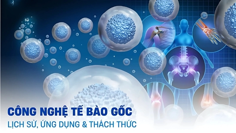 Tiềm năng phát triển của công nghệ tế bào gốc