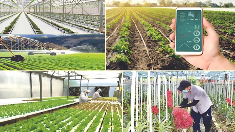 Công nghệ tương lai nông nghiệp là gì?