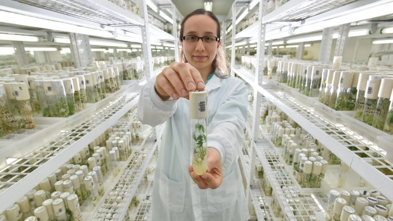  Công nghệ xanh như ngân hàng hạt giống giúp bảo tồn nguồn gen quý